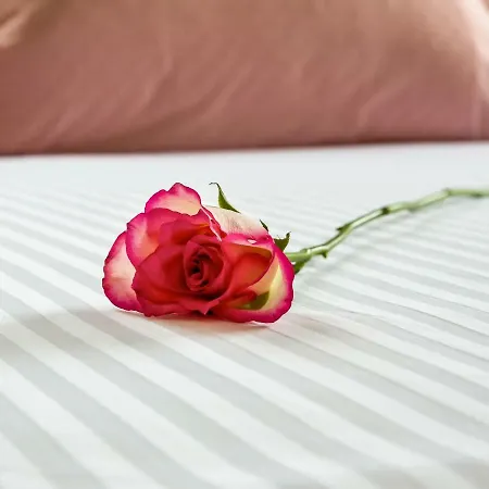 Nest Of Marmel Luxury * Hanya