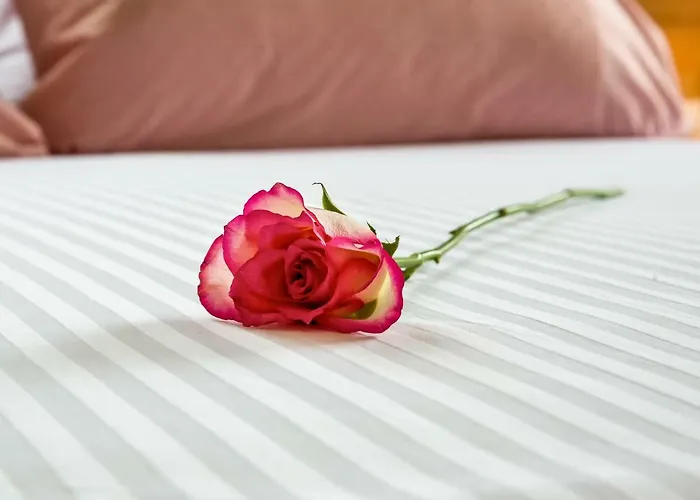 Nest Of Marmel Luxury * ハニア